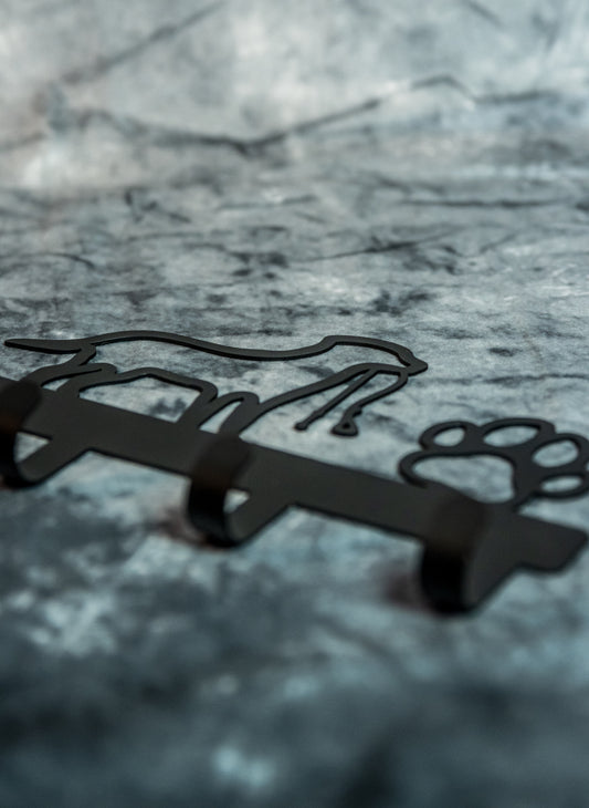 Pawsome Pet Leash Hanger