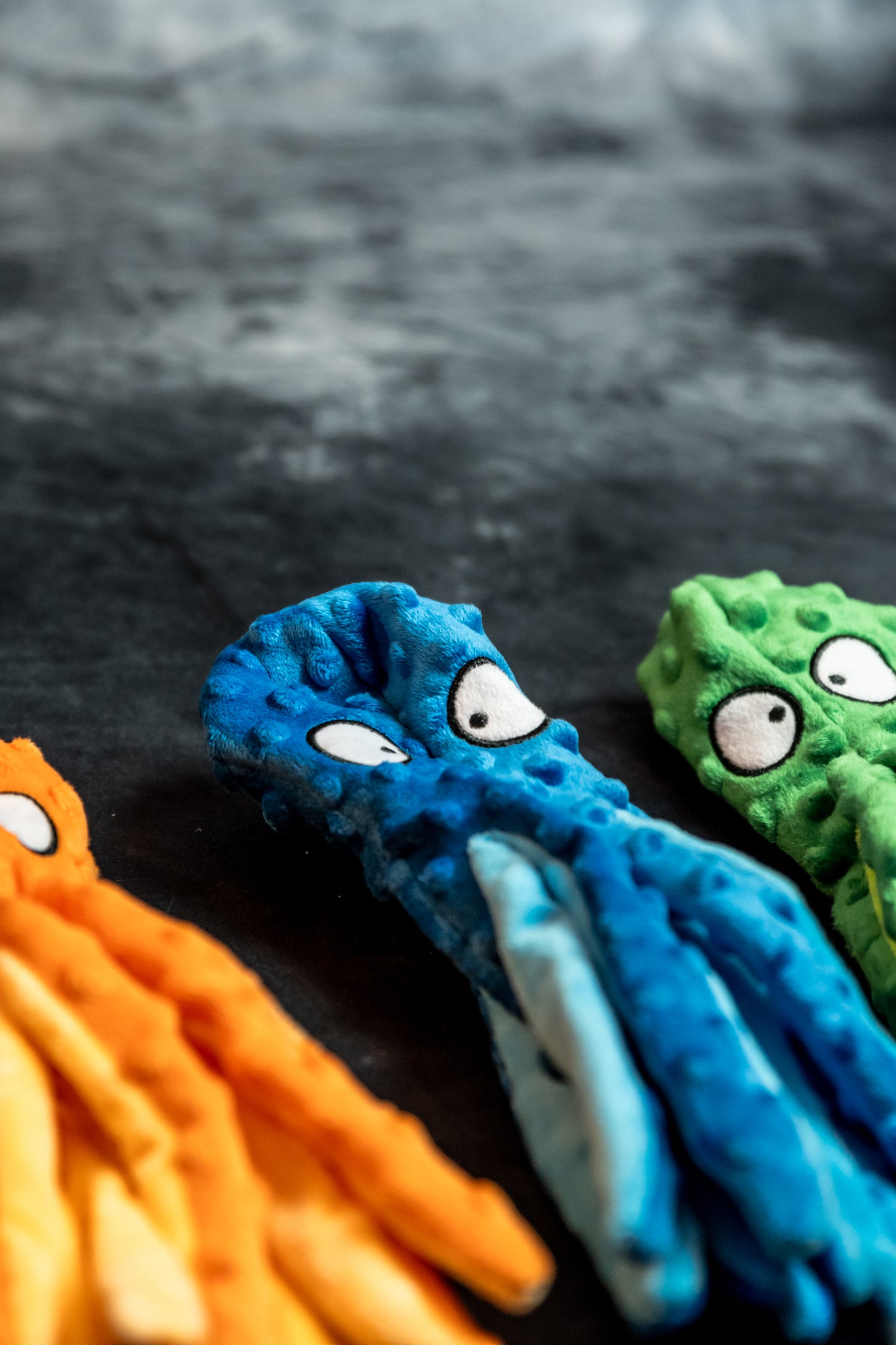 OctoPup's Colorful Adventure