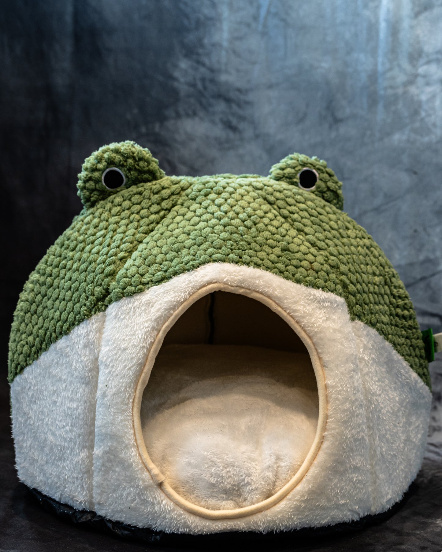 Frog-Shaped Pet Bed