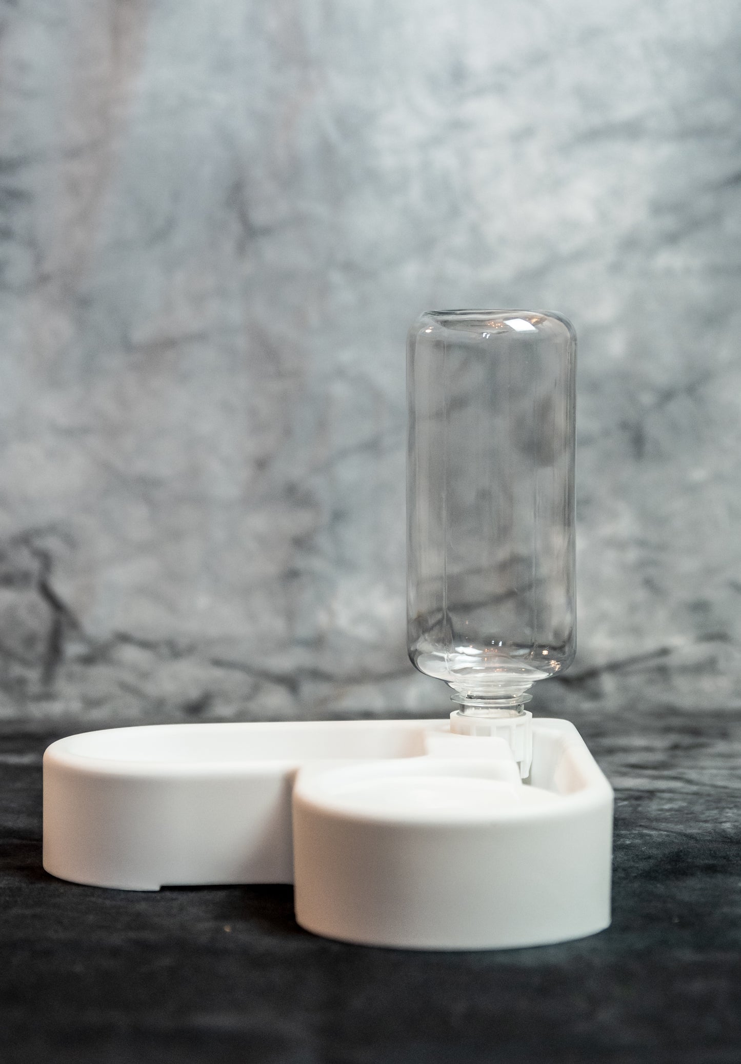 PetHub Duo Feeding Bowl