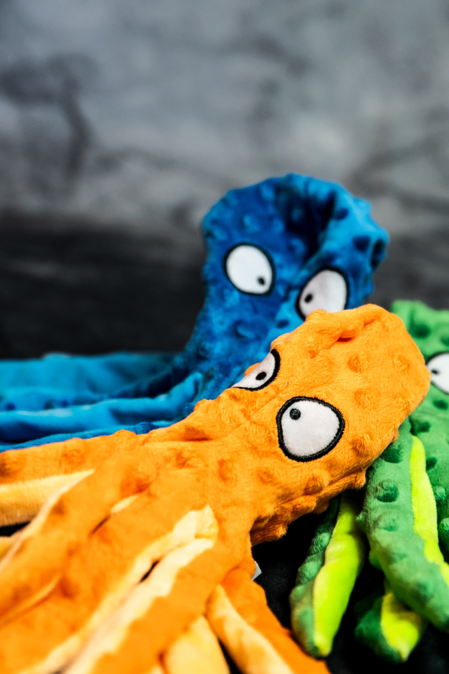 OctoPup's Colorful Adventure