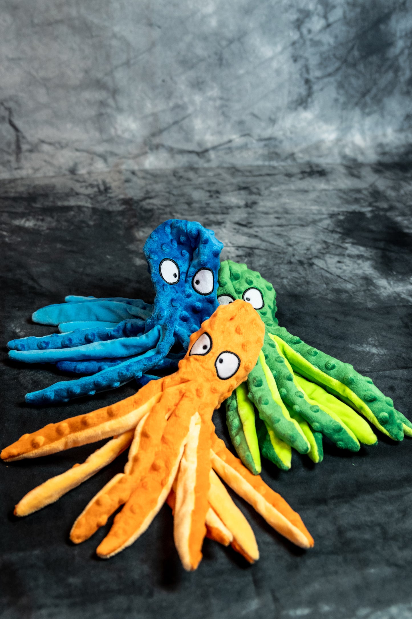 OctoPup's Colorful Adventure