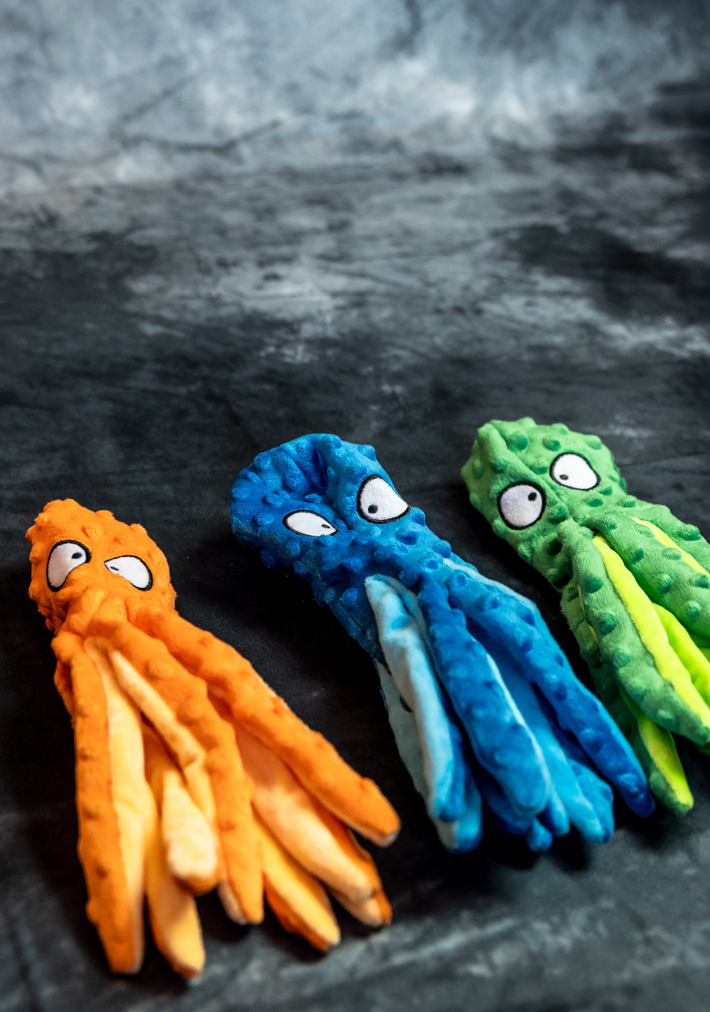 OctoPup's Colorful Adventure