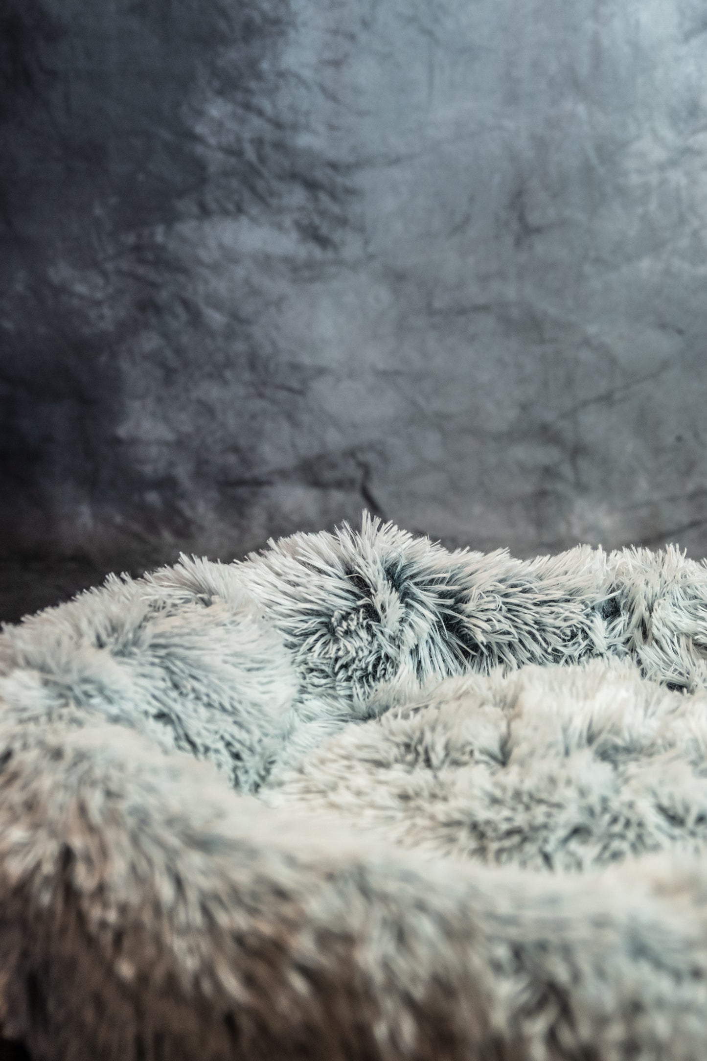 Luxurious Plush Pet Bed