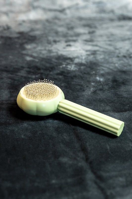Sunflower Pet Brush