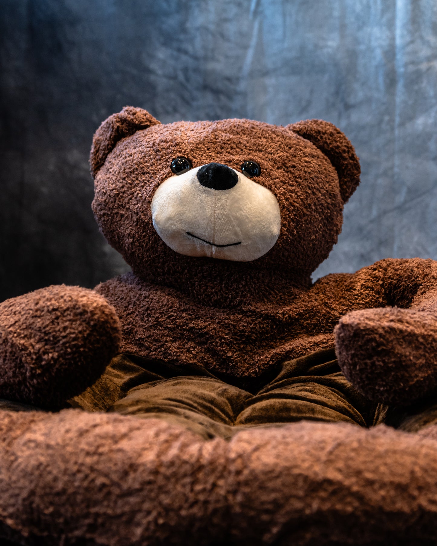 Teddy Bear Bed