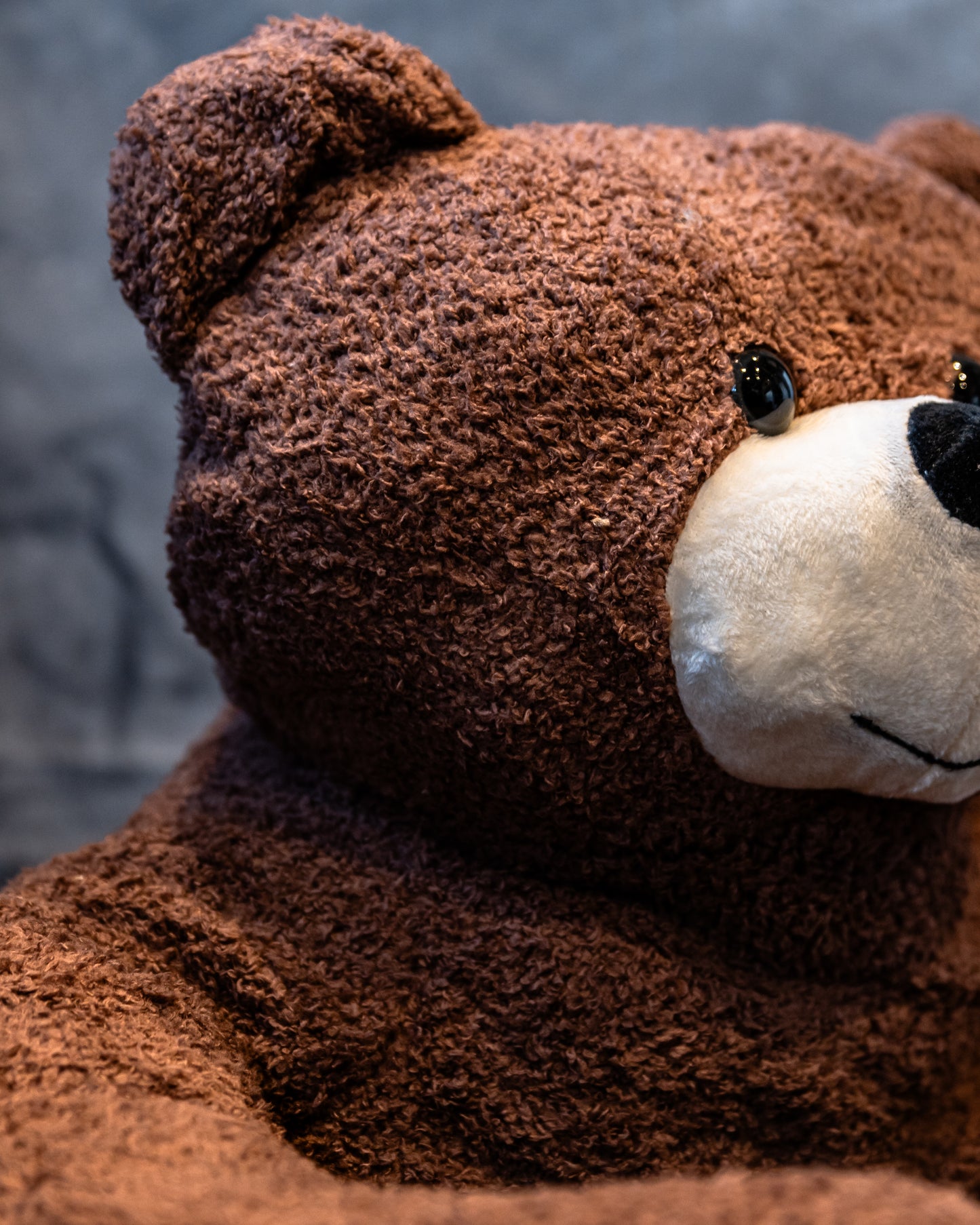Teddy Bear Bed