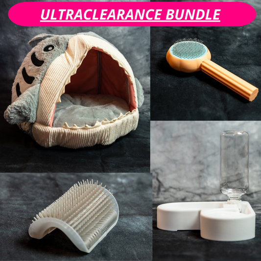 Ultimate Indoor Cat Starter Kit - Shark Edition (Clearence Sale