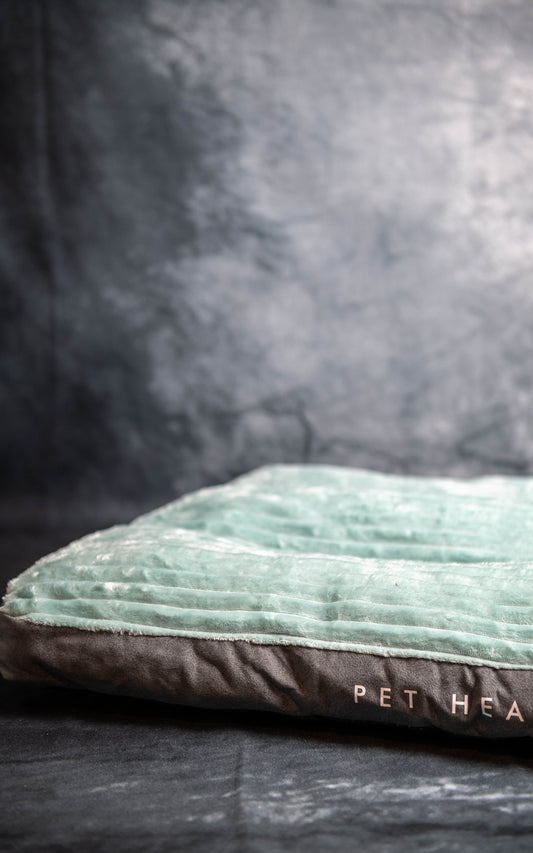 Mattress bed